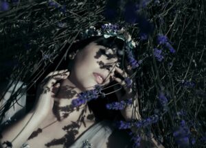 sleeping-beauty-schlaf-lavender-lavendel-aromatherapie-cultureandcream-blogpost