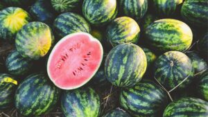 wassermelone-water-melon-extract-skincare-beauty-cultureandcream-blogpost