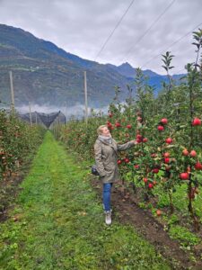 Apfelhof-Oberwoetzelhof-autorin-nina-zeller-apfel-apple-harvest-cultureandcream-blogpost