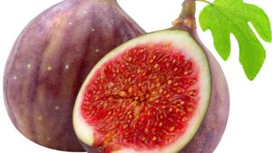 fig-feige-ingredient-night-mask-cultureandcream-blogpost