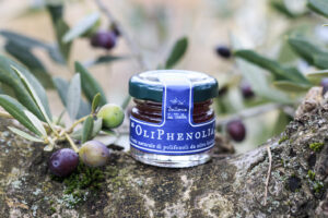 oliphenolia-presswasser-oliven-acqua-mora-cultureandcream-blogpost