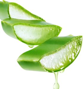 aloe-vera-plant-oil-haare-pflege-cultureandcream-blogpost