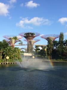 super-trees-gardens-by-the-bay-singapur-green-water-cultureandcream-blogpost